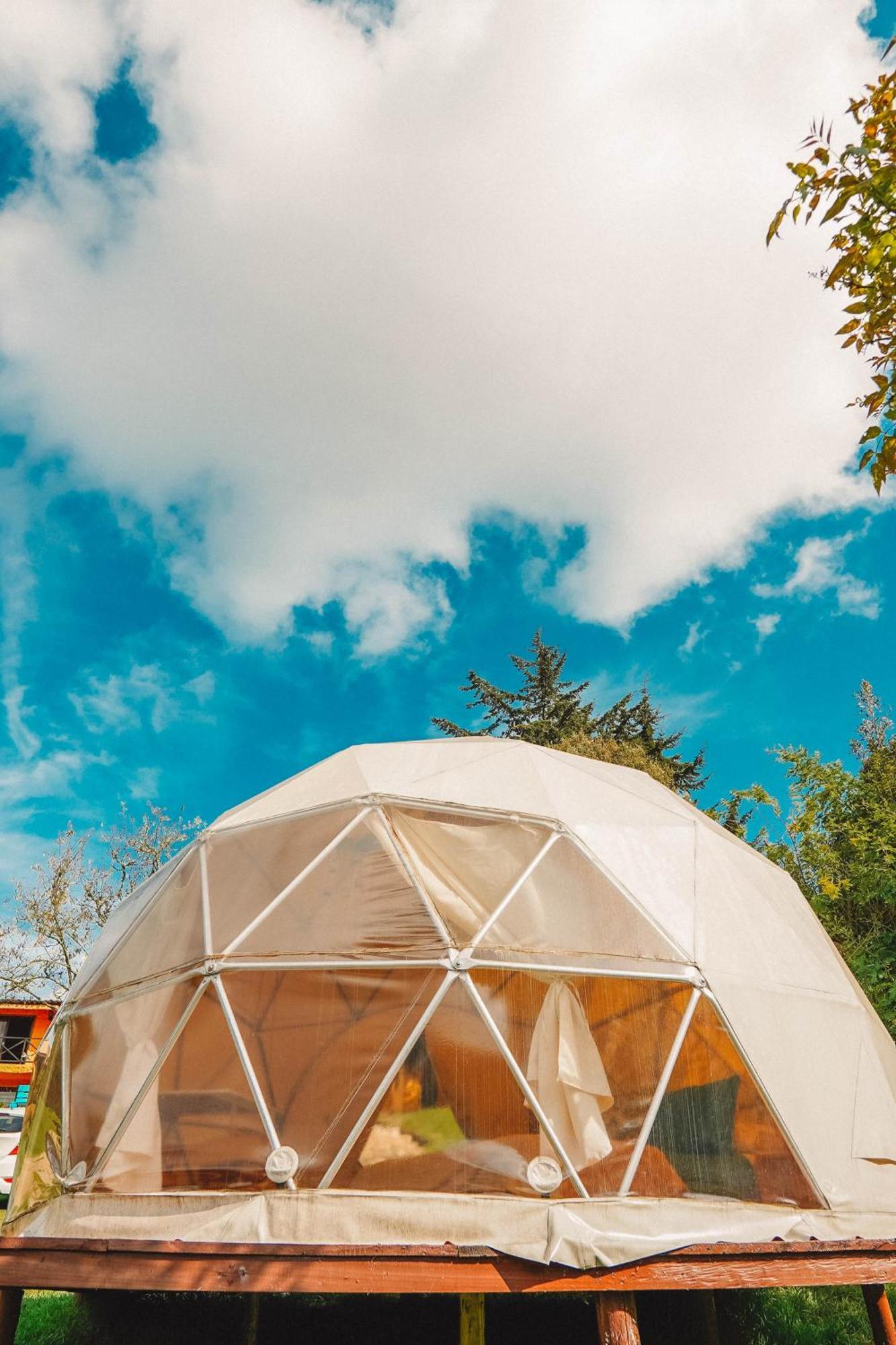 Alma De Campo Glamping - Laguna De Suesca Exterior photo